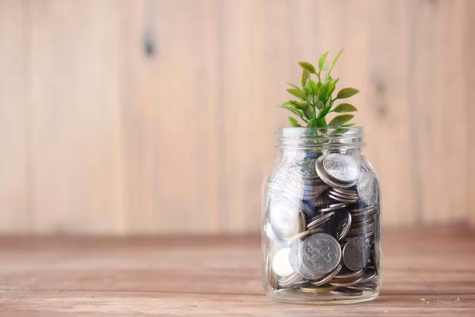 Seed funding - a glass jar filled with coins and a plant. Blaze Business & Legal.