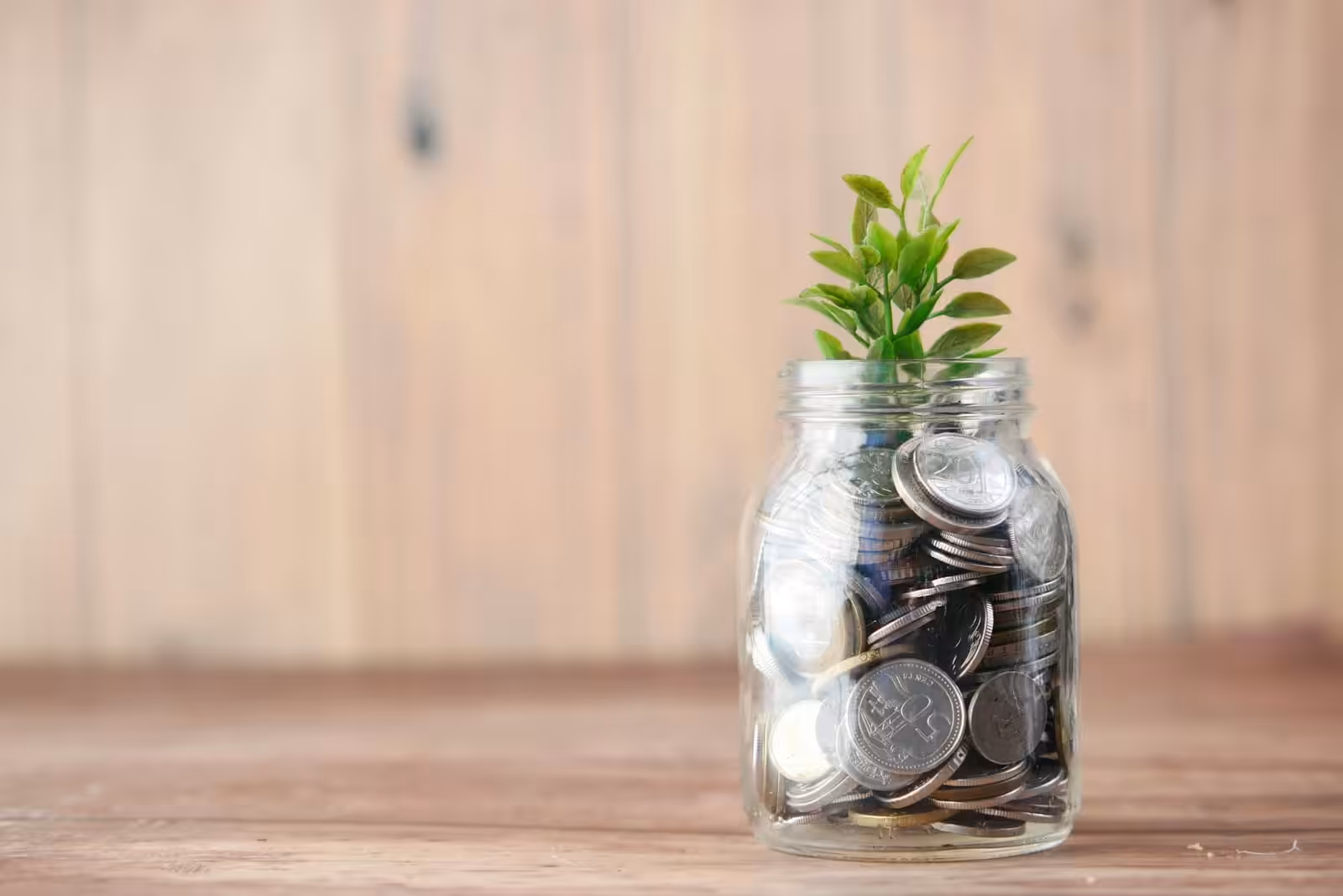 A glass jar filled with coins and a plant. How to increase profits in your business