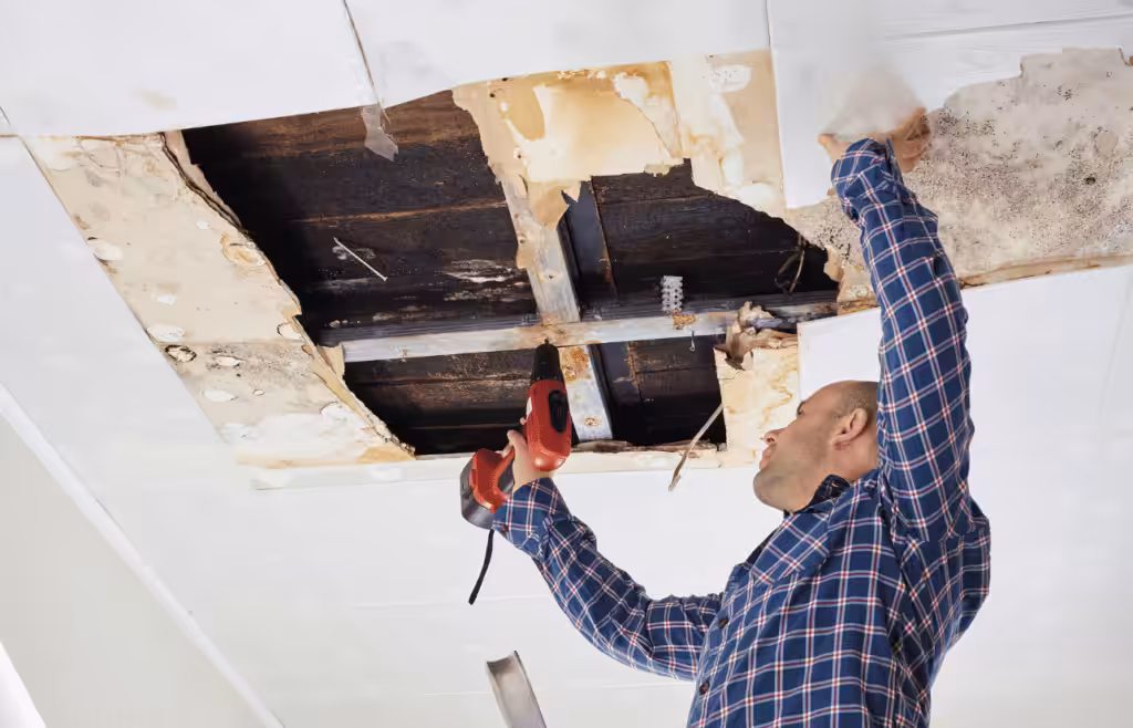 Man repairing a collapsed ceiling. DLP Meaning