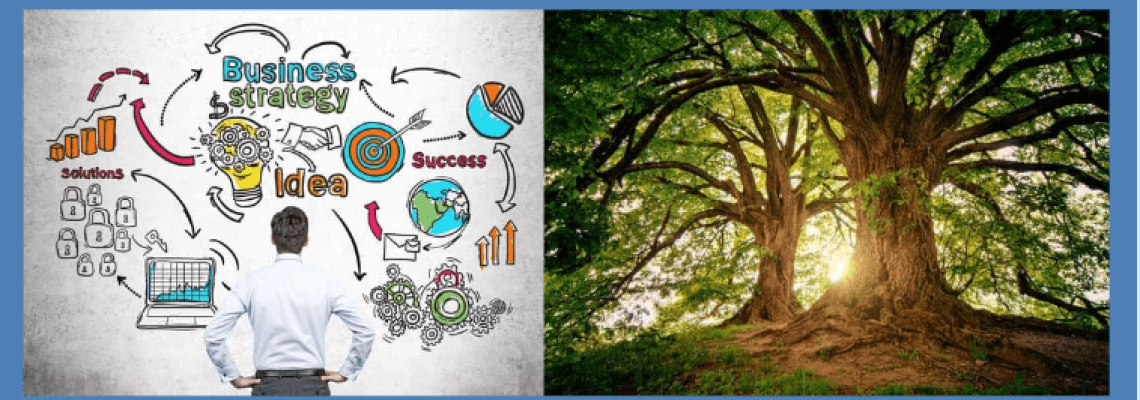 Images of a man with Business Strategy diagrams plus a forest scene. Caption reads "Business Strategy and the Environment." Blaze Business & Legal Logo.