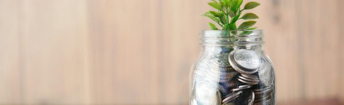 A glass jar filled with coins and a plant. How to increase profits in your business