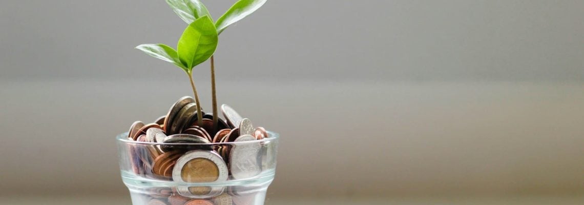 Green plant in clear glass cup with coins in it. Business Loan Calculator. Should my business borrow money?